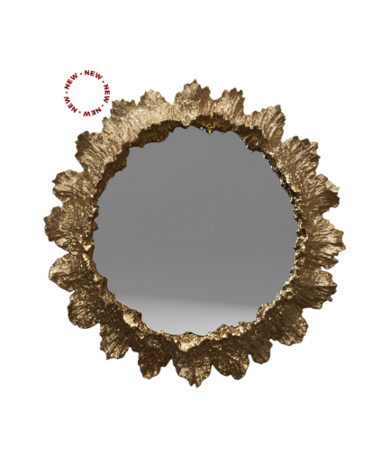 Solara Mirror - FAKE Not for Everyone